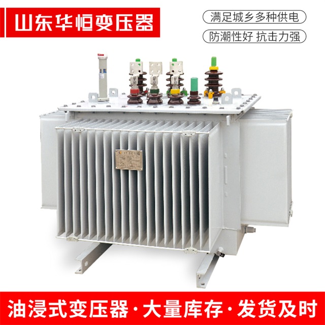 S13-10000/35丰都丰都丰都电力变压器