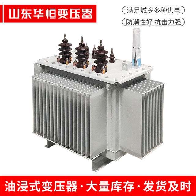S13-10000/35丰都丰都丰都油浸式变压器厂家